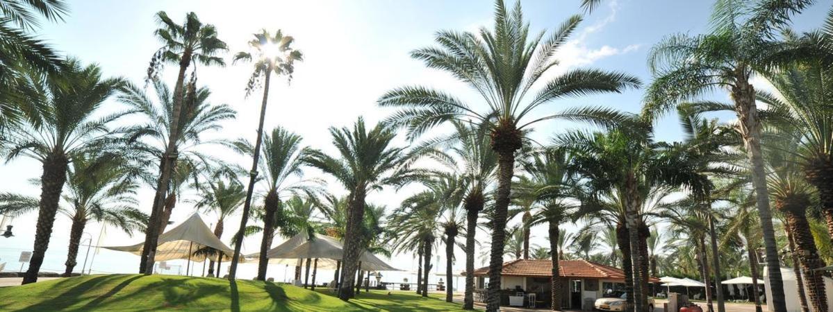 Kings Towers Blue Beach Tiberias Exterior foto